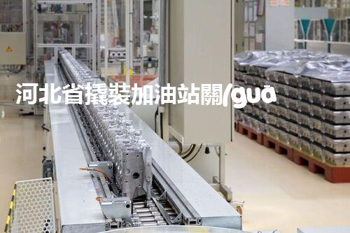 河北省撬裝加油站關(guān)鍵技術(shù)突破！化工廠拆除工程的新方法探索？